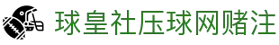 球皇社欧冠比分查询站_欧冠赛程赛果与今日热门对阵数据速览